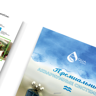 Описание изображения