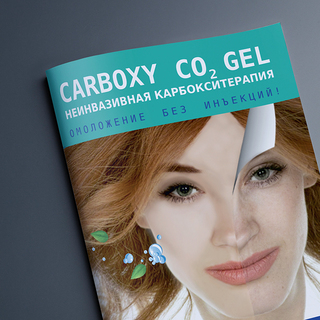 Описание изображения