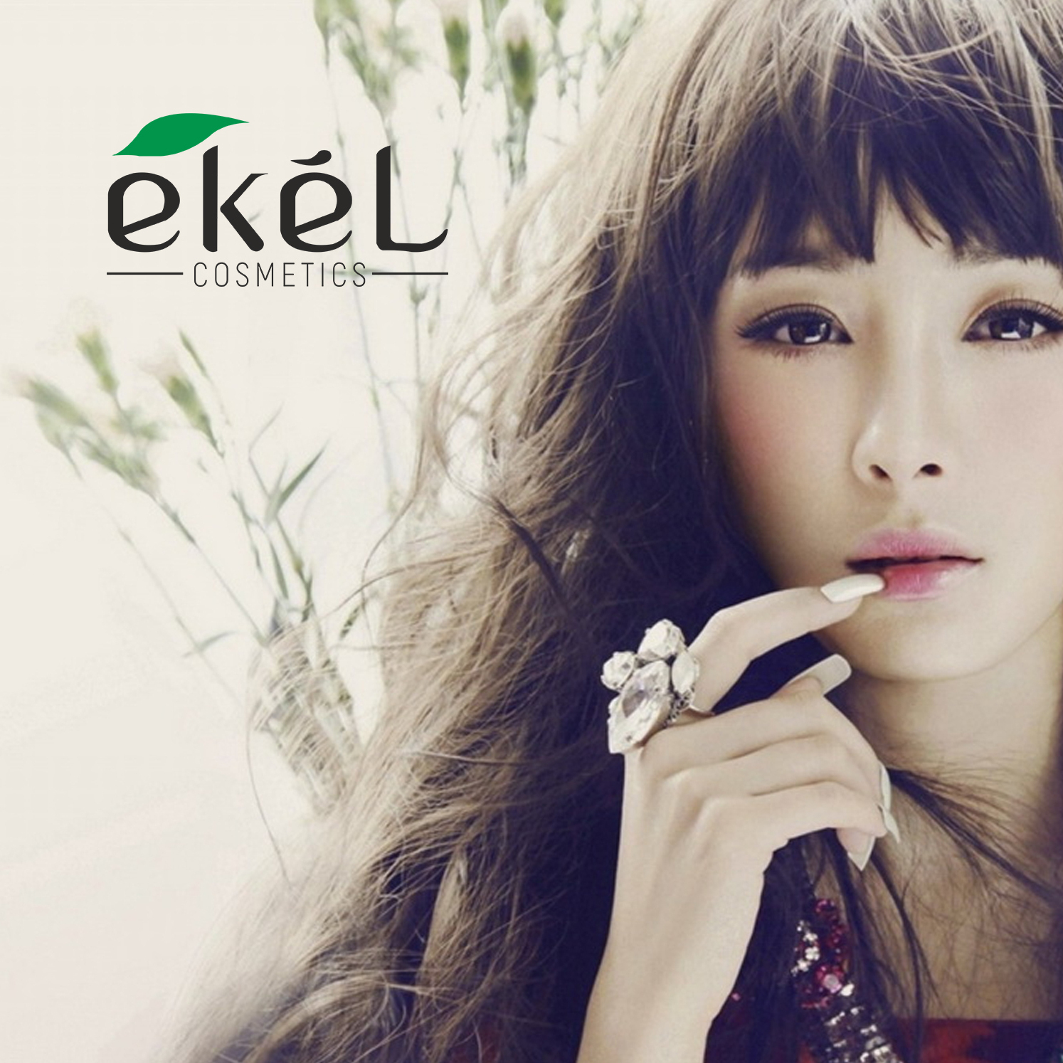 Описание изображения