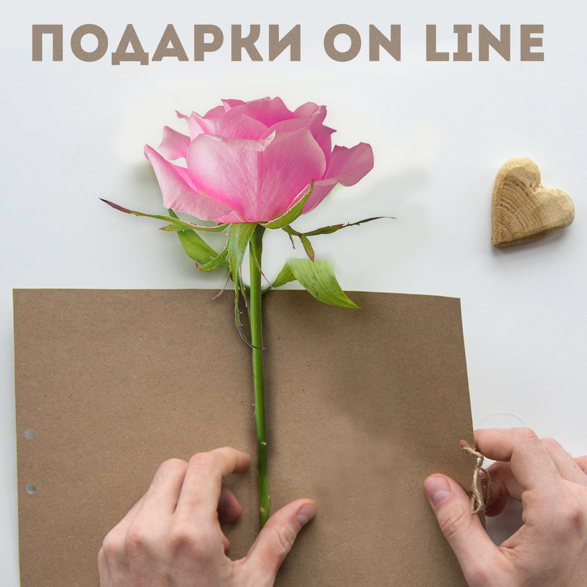 Описание изображения